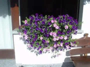 Hotel Garni Bucaneve Madonna